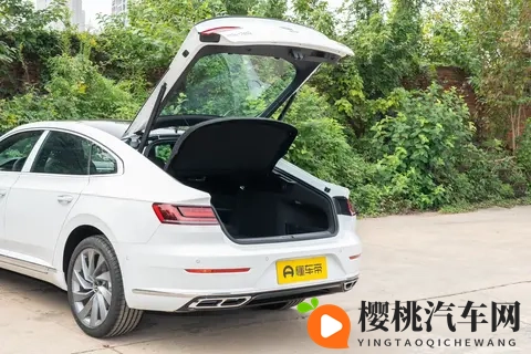 大众CC普通版：炫目与夺目版本，哪款更适合你？-3