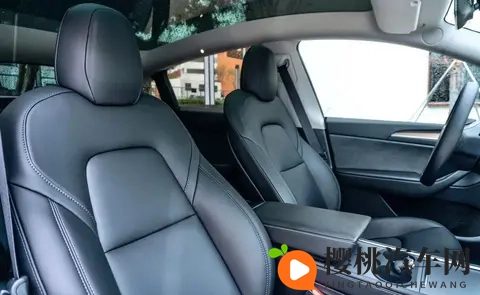 特斯拉Model Y821公里续航,2885万值不值?四大版本终极选购指南-3