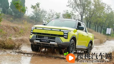 亚洲跨种族黑人XXX:颠覆传统,新车型引关注-1