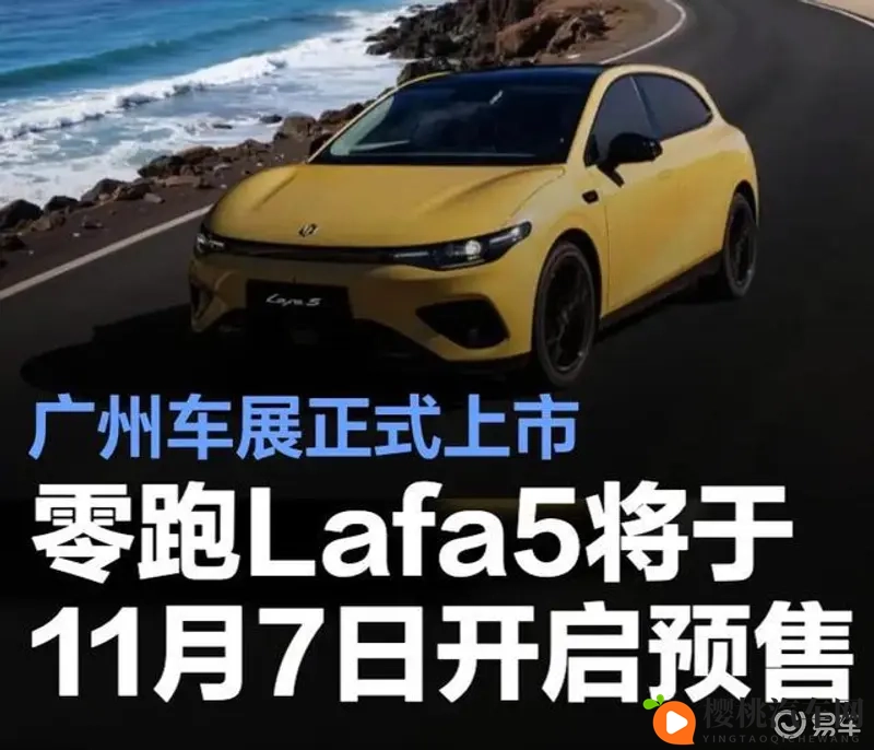 拔萝卜不盖被：新能源汽车崛起：挑战与机遇并存-1