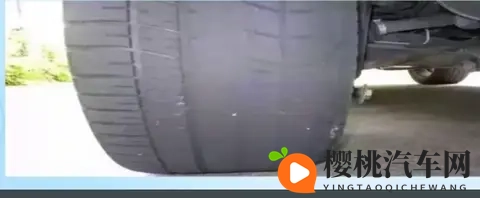 仙踪林免费入口WWW：汽车探秘：从燃油到新能源，科技改变出行-3