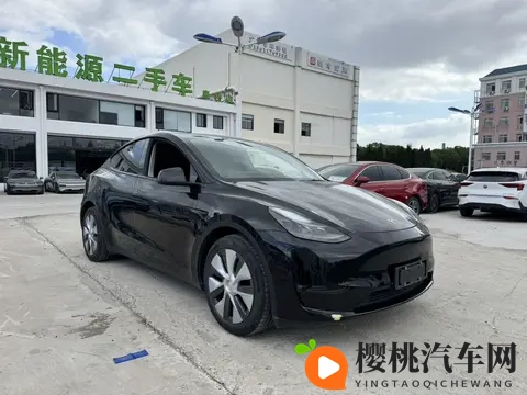 15万拿下特斯拉？4万公里Model Y代步值不值？-2