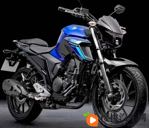 雅马哈飞致250复出 拼的不是马力 是省油能走天下的底气-2