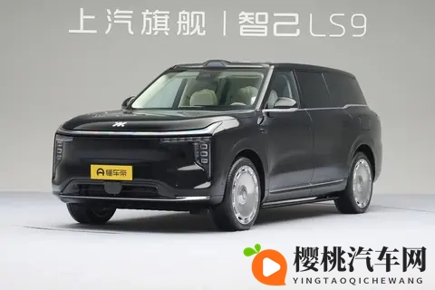 男生女生草草草:汽车新潮流:个性自由,科技安全,舒适体验-3