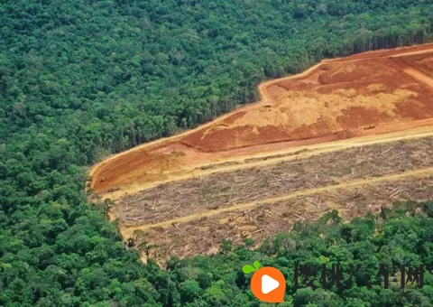 国产伦理的岳：国产伦理之光，岳氏风范独树一帜-2