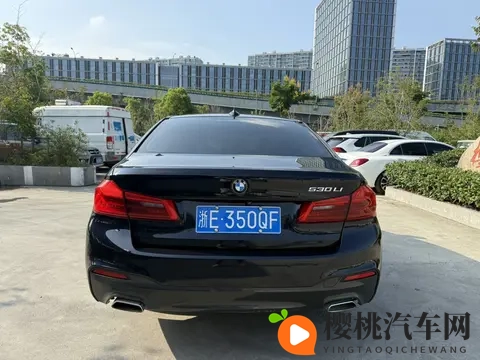 国产探花：国产佳品，崭露头角-1