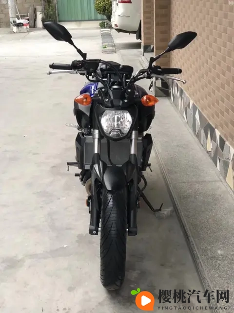 10大摩托车品牌终极解析:哈雷_本田_宝马谁是你的菜?-3