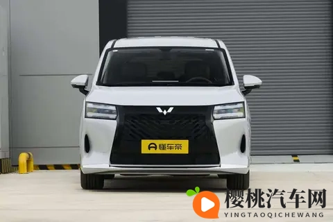 星光730一车三动力,好开又好坐,全家人都满意的全能舒享大7座-2