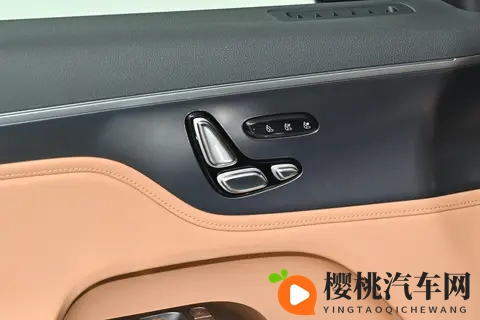 20万选插混SUV不纠结!smart精灵#5 EHD:豪华质感+实用配置全给你-2