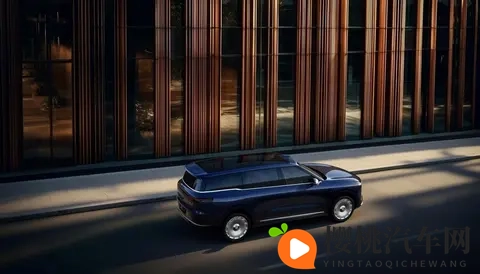 9久热:新能源车型崛起,市场新宠销量突破万辆-2