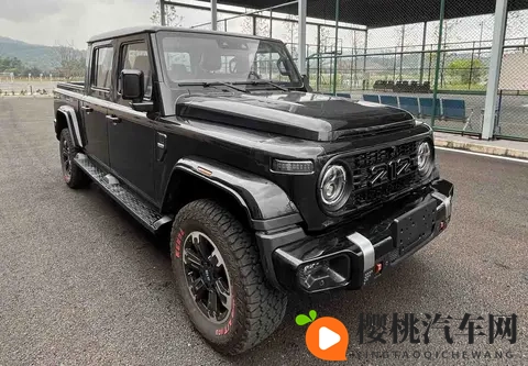 复古硬派皮卡上新！212探境者01申报曝光-3