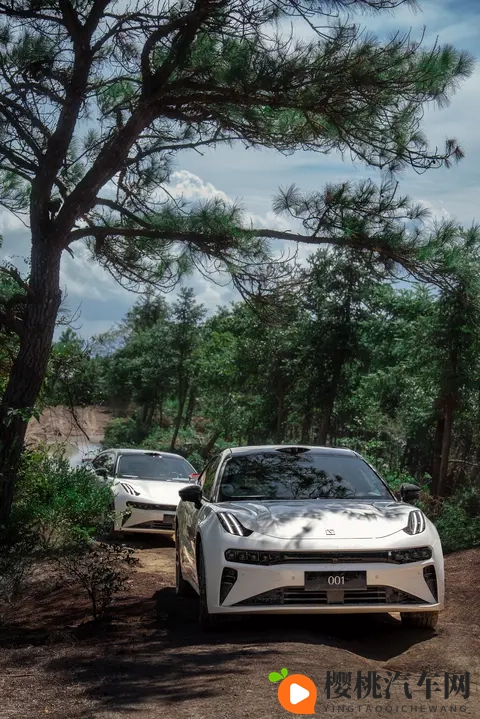 明星AI换脸AV一区二区林心如:明星AI技术颠覆娱乐圈,林心如形象大变脸-2