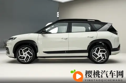 可选两驱_四驱,1198万起售,这款韩系车型能选吗?-2