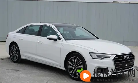 奥迪A6L设计“大变脸”引争议：是大胆革新还是用力过猛？-3