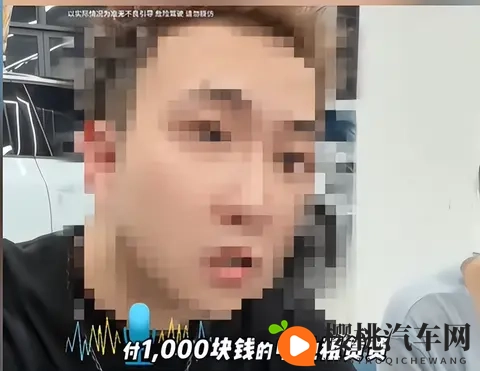 电池不属于车主?车电分离背后的真相与警惕!“买车身送电池”-2