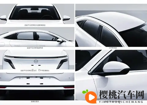 两个人看的www:私密时光,两人共享的美好瞬间-2