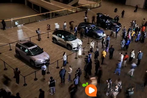 月销量不足万,现代的中国困局靠换人能解决?-2