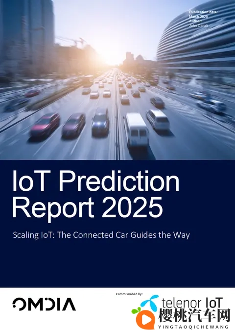 报告下载  物联网规模化应用发展：智能网联汽车发挥示范作用-3