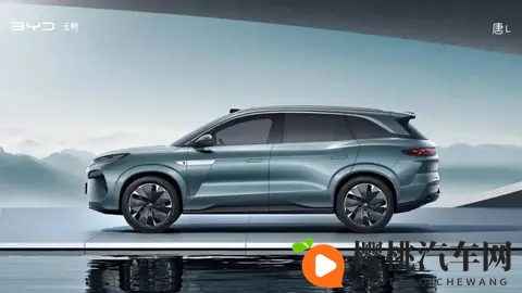 新时代观察|60天倒计时,车企年度销量目标大考:比亚迪稳了-2