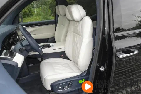 埃尔法的“大本营”,被一台国产车撬动了?-3