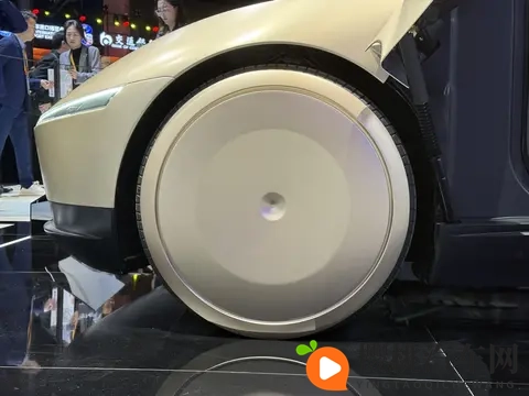 老师的兔子又大又白:校园里那只兔子真肥真白-2