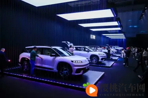 月销量不足万,现代的中国困局靠换人能解决?-3