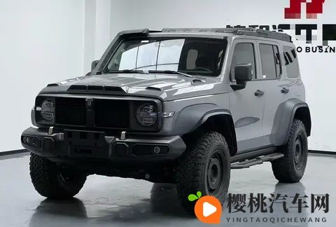 23年一手坦克300铁骑02，29万公里，圆你越野梦！-1