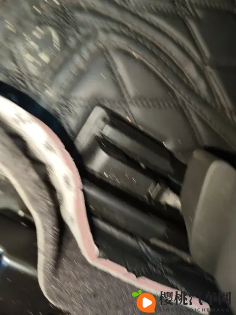 母子交尾:母子关系引发争议,伦理界限引人深思-3