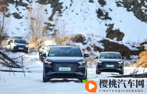 盘点五款降价幅度较大的车型，有纯电也有燃油车，能“捡漏”？-1