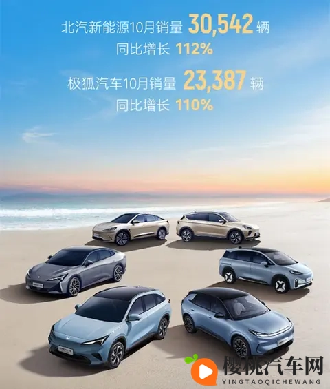 10月新势力销量出炉，“蔚小理”格局大变，理想跌出前五？-1