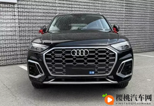 猫娘拔萝卜:猫咪女孩奇遇记:奇拔萝卜大冒险-2