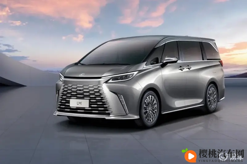 微杏:微小杏果,品味自然甘甜-1