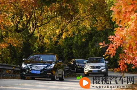 陈冠希用嘴让阿娇高潮:娱乐圈启示录:创新思维与极致体验的极致探索-3