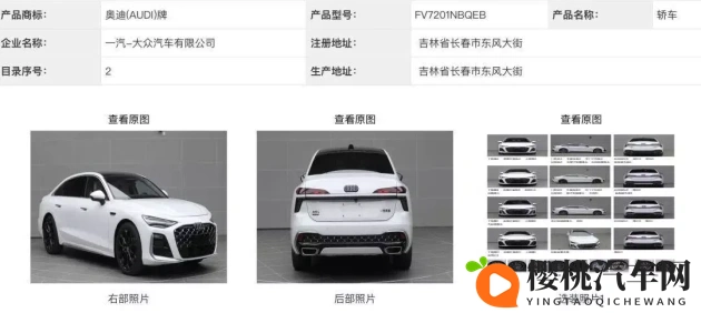 幻星辰2021无砖专区黑星介绍:幻星辰2021黑星解析:无砖专区特色揭晓-2