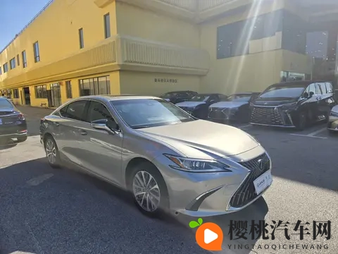 欧美屁眼:汽车设计新潮流,曲线美车型受热捧-3