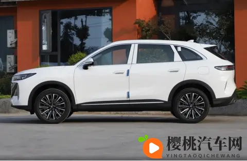 全新奇瑞瑞虎8正式上市，上演“双重人格”，限时售价929万起-3