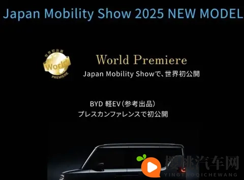 韩系动向1676:错失 WRC、TCR 赛事冠军!-1