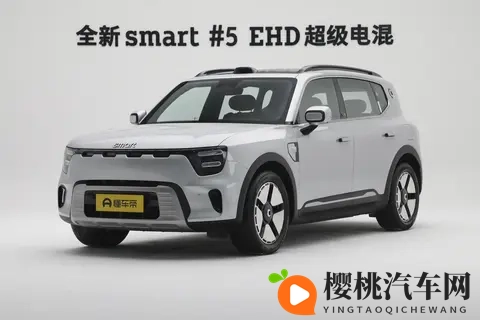 豪华与实用如何兼得?20万左右的预算,选smart精灵#5 EHD-2