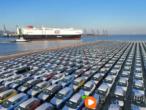 “混动”破局:中国车企以灵活打法驶入全球市场新赛道-3