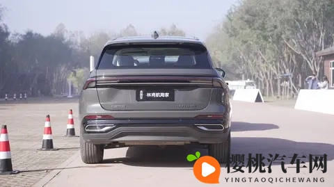 色就色 + 综合:汽车色彩揭秘:性能与个性交织的奥秘-2