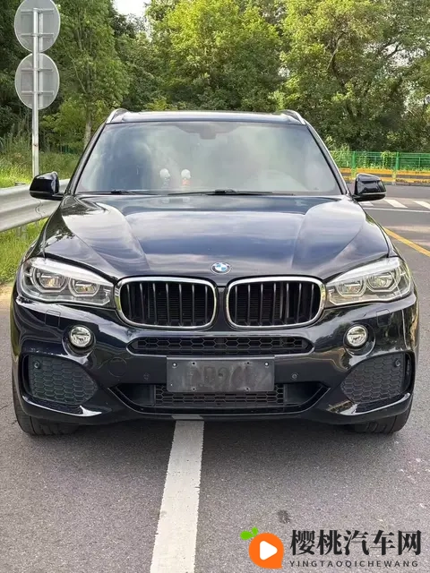 2018款宝马X5:30T+8AT,9万公里,豪华依旧,奶爸之选-2
