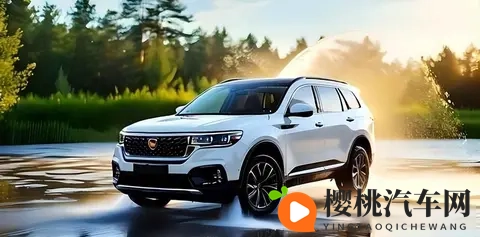 品质不及欧美?环境逼出真本事,俄媒评:中国车耐用度为德系一半-3