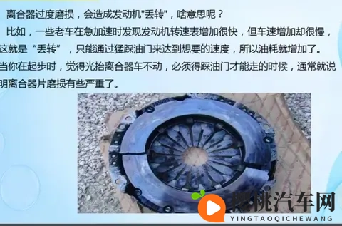 BBW丰满大肥奶肥婆：胖身材女性，曼妙曲线引人注目-3