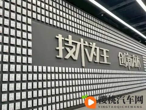 造车“赚钱密码”曝光！10万车6万成本，电池芯片赚走大半利润-3