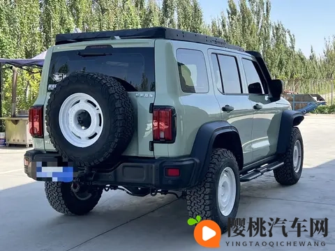 一手准新坦克300铁骑02:圆你硬派越野梦-1