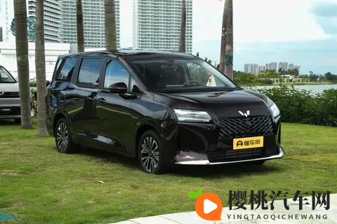 五菱星光730正式上市！7万多就能买的“大七座”，侧滑门是亮点-3