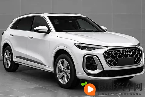 哥布林双男主打补牌:汽车驾驶高手揭秘:提升驾驶体验的神秘策略-2