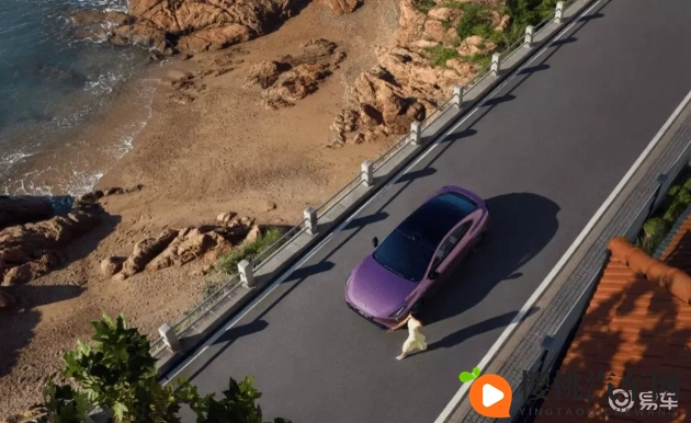 樱桃成人网:新能源汽车崛起,技术革新引领未来汽车时代-1