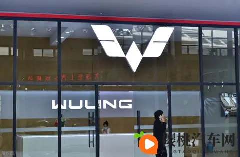 宏光 MINIEV 卖疯了，网友说：这是消费降级了，真的是这样吗？-3