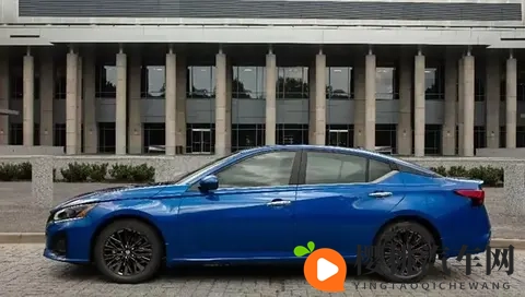 胡桃大站史莱姆:胡桃之地探寻史莱姆奥秘-1